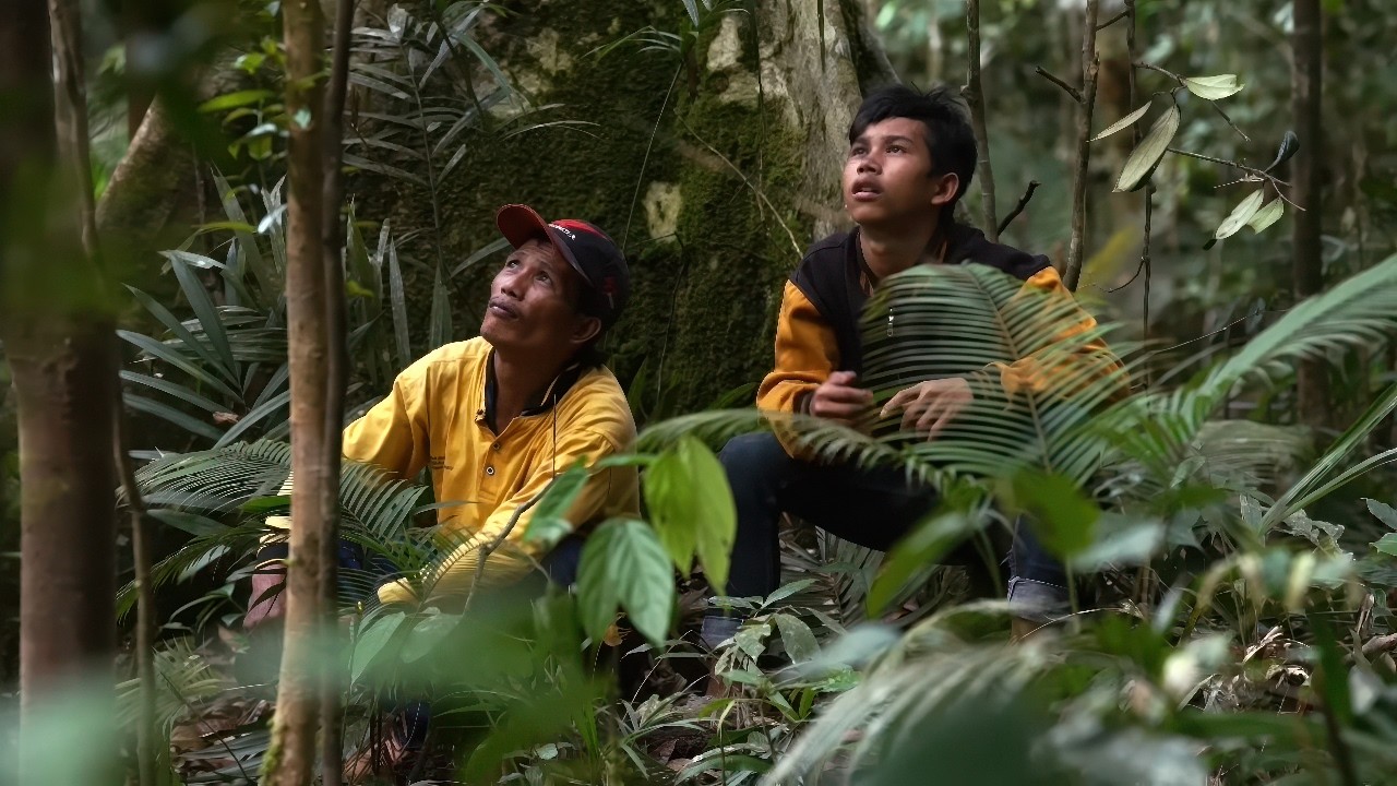 Борнео: конвой в джунглях | Дороги невозможного