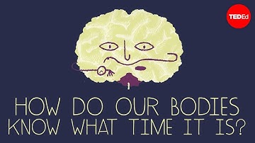How does your body know what time it is? - Marco A. Sotomayor