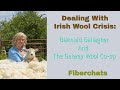 Blatnaid gallagher raising  galway sheep  fiberchats episode266