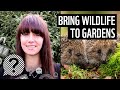 How to bring wildlife into your garden | WWF