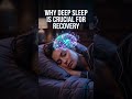 What Happens Inside Your Brain During Deep Sleep? 🧠💤 #brain #science #sleep