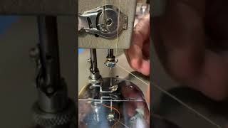 IMG 1613