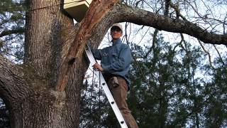 Dr. Leo Sharashkin: Agroforestry and Wilderness Beekeeping for Conservation and Profit