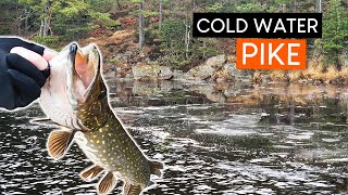Winter PIKE FISHING in freezing cold water!