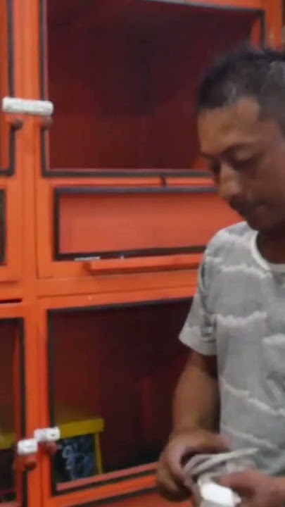 SILK DOVE. KENWOOD TEAM. WILL RETURN. #Short