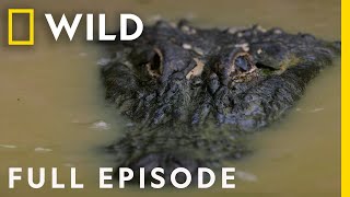 Predators of the Swamp (Full Episode) | Dead by Dawn screenshot 5