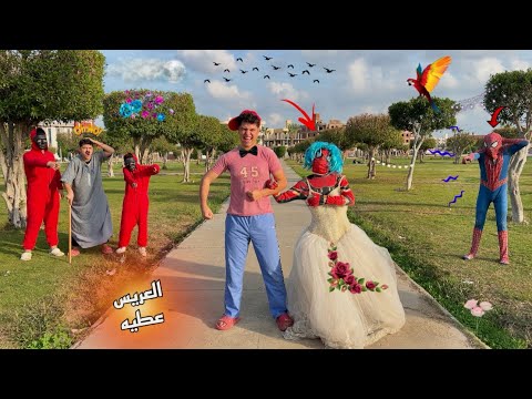 لما اخوك الصغير يتجوز مرات سبايدرمان وسبايدرمان يقفشكم ويجي يخربلكم الفرح احمد عفروتو