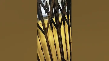 Hotel Mein Lift Hai Song 