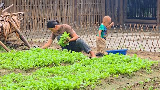Rainy day, Ly Tieu Ca stayed home to enjoy the first vegetable meal from his garden.