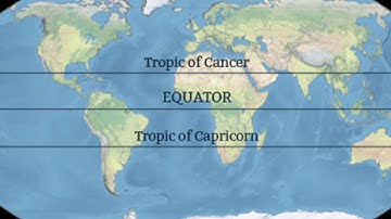 Does moss only grow on the northern side of trees?