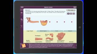Gizmo App screenshot 3