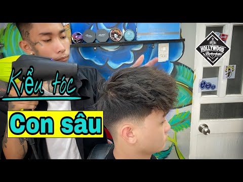 texture con sâu