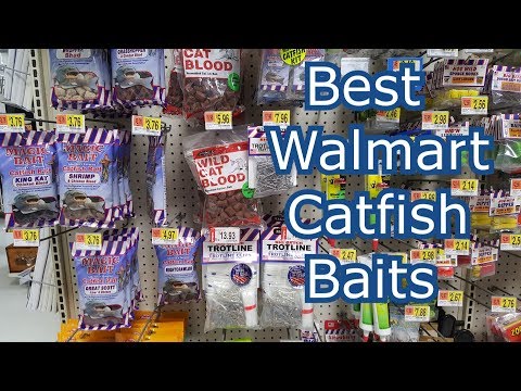 Best 5 Walmart Catfish Baits 