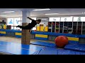 특공무술 즐거운 유단자 수련!!^^(기계체조) joyful tumbling training of martial arts trainees