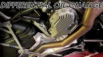 BMW M2: Rear Differential Oil Change DIY