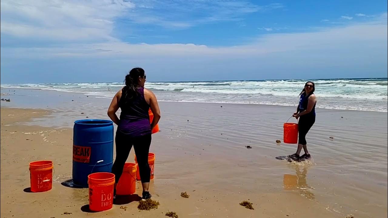 Jailbreak Run 5K South Padre Island, Texas YouTube