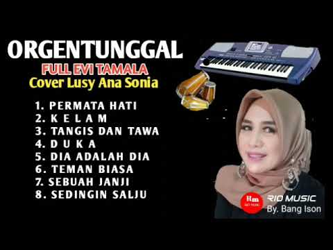 Permata Hati - Dangdut Super Melow - Orgentunggal Full Album Evi Tamala - @RIOMUSIC-ff3if