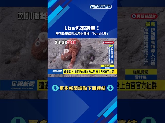 朝聖！　帶同款玩偶赴動物園　Lisa合影「Panchi君」－民視新聞