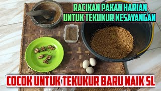 RAHASIA TEKUKUR GACOR, Racikan Pakan Harian Untuk Tekukur Kesayangan, Buktikan sendiri 
