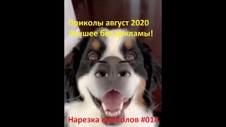 Приколы часть 14  Лучшие приколы август 2020!!!