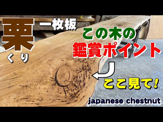 虫食いを愛でる】くり一枚板×オイル仕上げ【木の店さんもく】How To