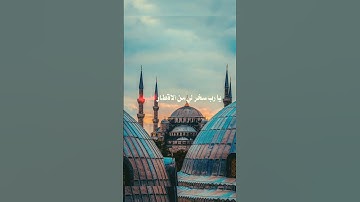 دعاء مستجاب 🌸 #القران_الكريم #elmulquranعلم #تلاوة_خاشعة #راحة_نفسية #دعاء_مستجاب