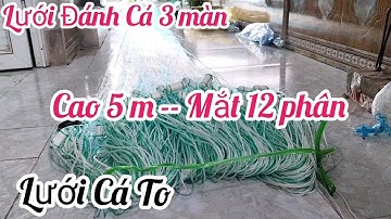 lưới đánh cá 3 màn - lưới cá to lớn - lưới cá nước sâu của bác phi - lưới cá chép cá mè cá trắm