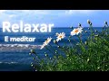 Música para meditar, acalmar e relaxar!