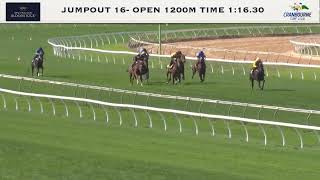 290321 Jump Out 16