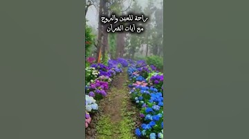 ✨تلاوة مؤثرة للآية “زُيِّنَ لِلنَّاسِ حُبُّ الشَّهَوَات” | الشيخ عبد الله القرافي – آل عمران🔥