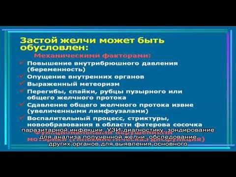 Застой желчи в печени симптомы. Как вылечить застой желчи. 49% Застоя желчи.