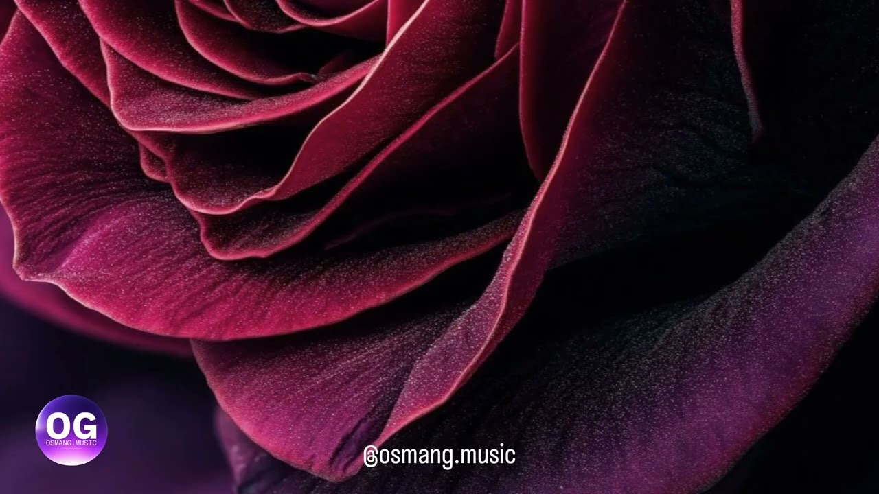 FEELING (bachata) 🇮🇹 Italia 