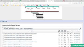 Using Genome Data viewer to BLAST an unannotated exon