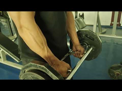 Swiss Bar Hammer Curls Baicep #Swissbarcurls #Baiceplover #Baicephammercurls