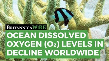 BRITANNICA WIRE: Oceanic dissolved oxygen levels declining worldwide | Encyclopaedia Britannica