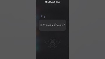 سورة النحل بصوت مريح وهادئ | تلاوة خاشعة لراحة النفس والاسترخاء | قرآن كريم يساعد على التأمل والنوم