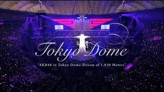 TOKYO DOME～1830mの夢～DVD SPECIAL BOX DIGEST/AK