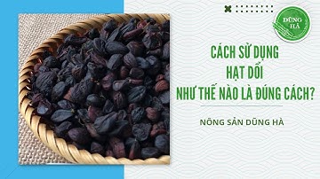 Cách Sử Dụng Hạt Dổi Như Thế Nào Là Đúng Cách?