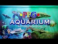 Zoo Tours: The Pittsburgh Zoo's PPG Aquarium