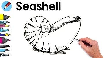 How to Draw a Sea Shell Real Easy