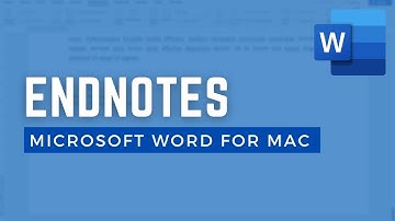 How to insert and edit endnotes in Microsoft Word for Mac