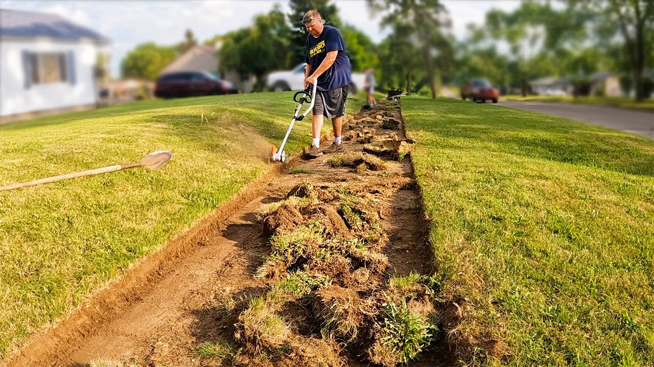 Yard cleaning. Yard Cleaning grass.