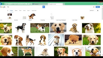 How to save path of picture in database and picture save in folder in asp.net