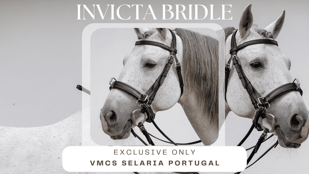 INVICTA Bridle With or Without Bit