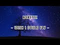ROXETTE WISH I COULD FLY With Lyrics ROXETTE WISH I COULD FLY With Lyrics