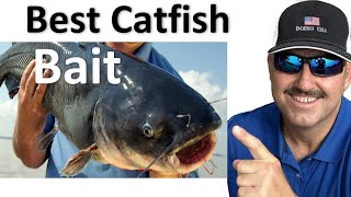 Making The Best Catfish Bait to Catch More and Bigger Fish #fishing #howtomake #diy