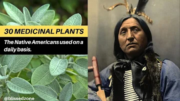 30 Medicinal Plants The Native Americans Used On a Daily Basis | Blissed Zone