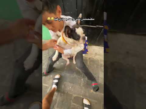كاتغير عليا بزااف  اكسبلور     شاط 