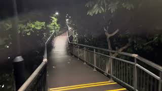 Canopy Walk Kent Ridge Park at Night Singapore