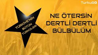 Ne Ötersin Dertli Dertli Bülbülüm (Sivas Türküsü) #TürküGO